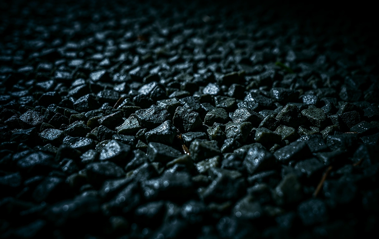 Textural detail of a walking path